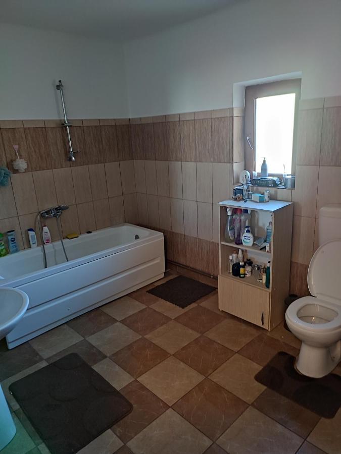 Central House Hotell Curtea de Argeş Eksteriør bilde